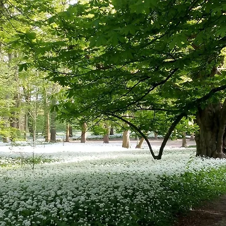 Ruegenhaus * Lancken-Granitz