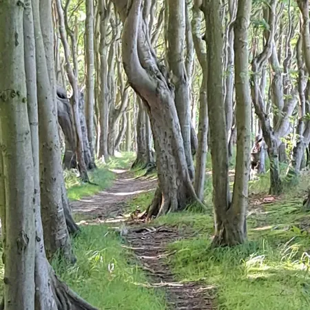 Ruegenhaus Дом отдыха